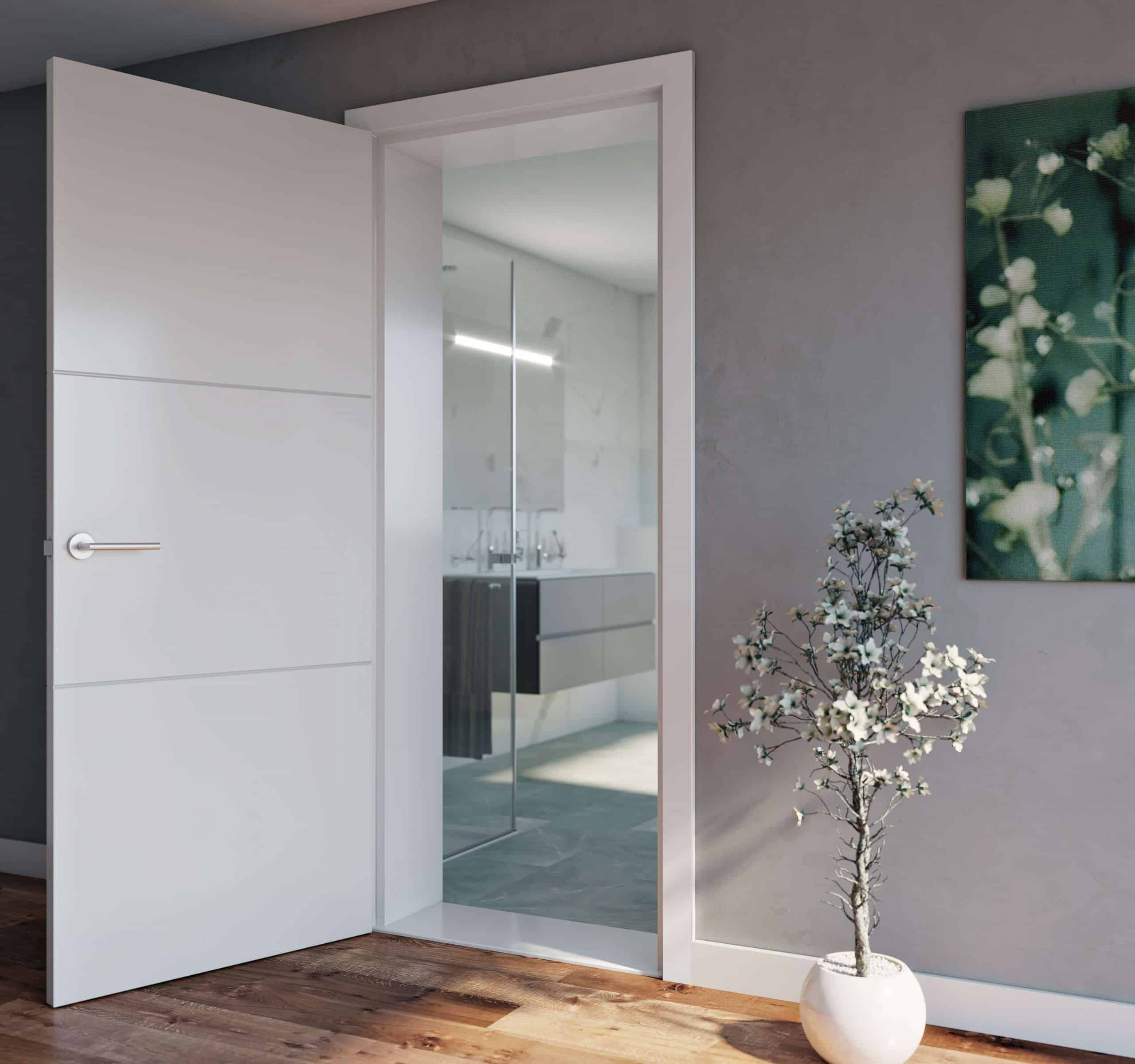 Glass shop bathroom doors