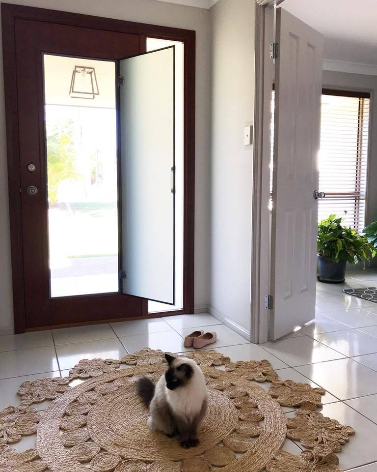 External Guardian 2 in1 Doors Doors Plus