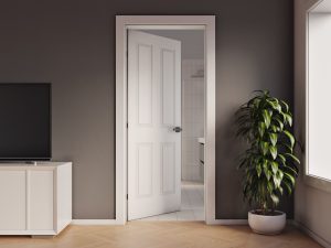 White Door With Panels in Living room