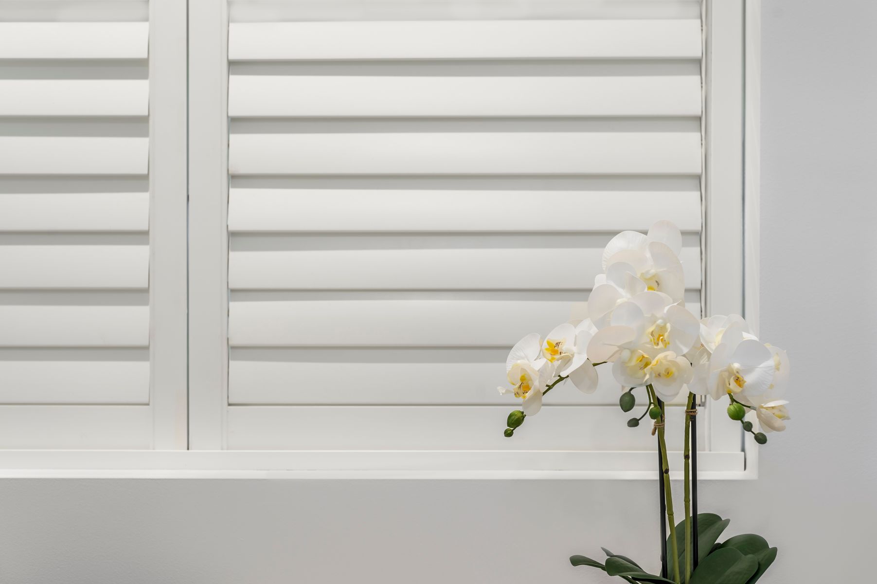 Doors Plus - White Plantaion Shutters in Home Office