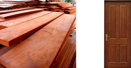 What are the Types of Wood Doors? - Materials and Designs