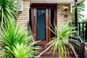 Best Wood for Front Door - Doors Plus