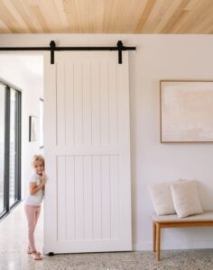 Doors Plus - Barn door and kid