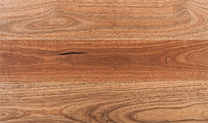 Doors Plus - Spotted Gum Wood