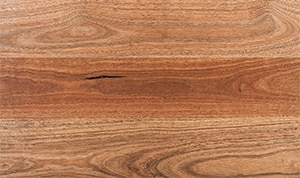 Doors Plus - Spotted Gum Wood