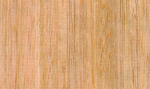 Doors Plus - Tasmanian Oak Wood