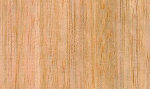 Doors Plus - Tasmanian Oak Wood