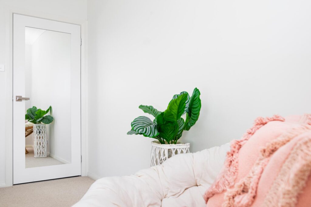 Doors Plus - Bedroom Door with Mirror