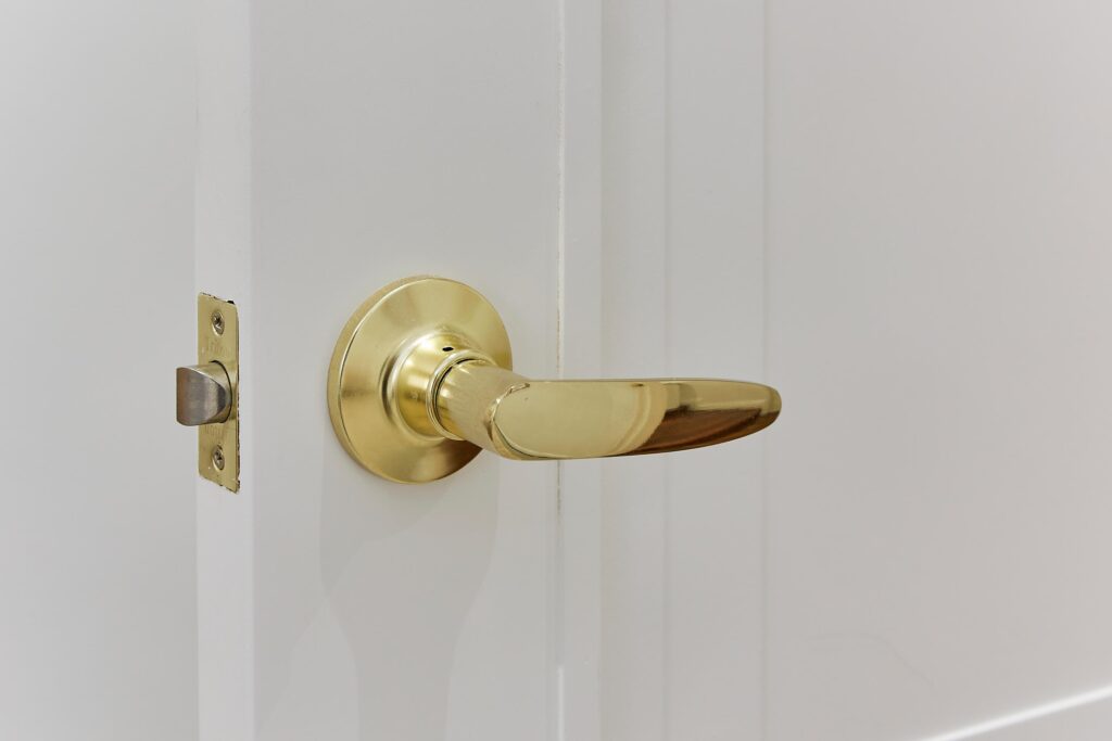 Doors Plus - Passage Handle on Door