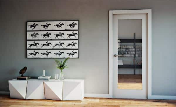 Doors Plus = Shaker Style Trim for Door with Mirror